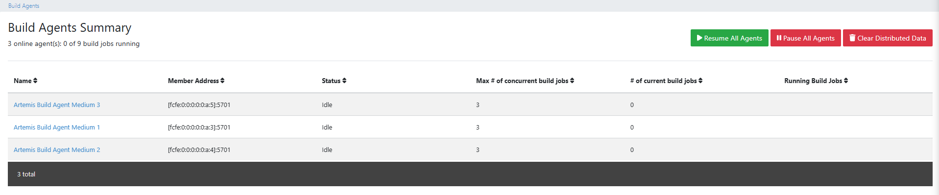 Build Agent Summary View