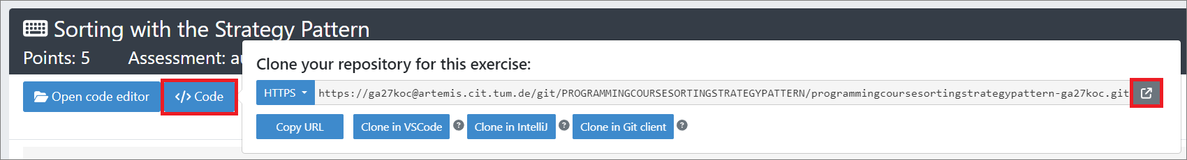 Opening the repository in the student view